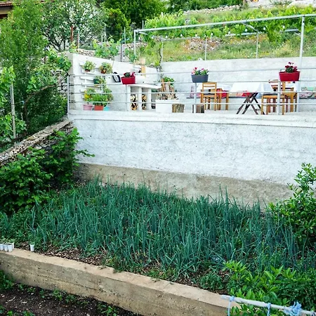 Guest house Patio