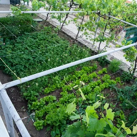 Patio Guest house *