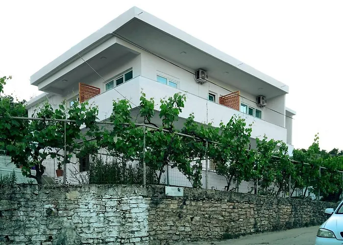 Patio 招待所